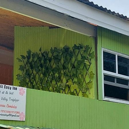 Salz Cozy Inn Roseau Exteriér fotografie